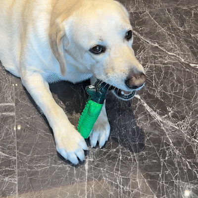 Fuufome Green Gummy Alligator Dog Chew Toy For Aggressive Chewers